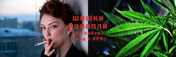 гашик Верея