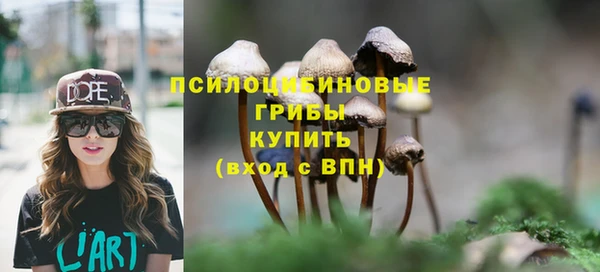 ECSTASY Верхний Тагил