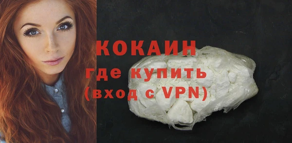 гашик Верея