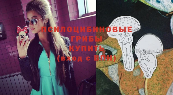 ECSTASY Верхний Тагил