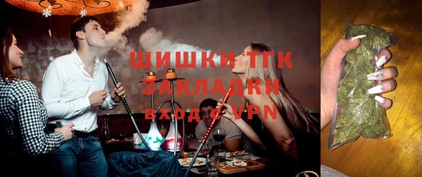 гашик Верея