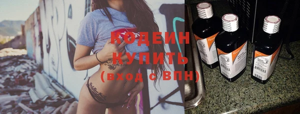 гашик Верея