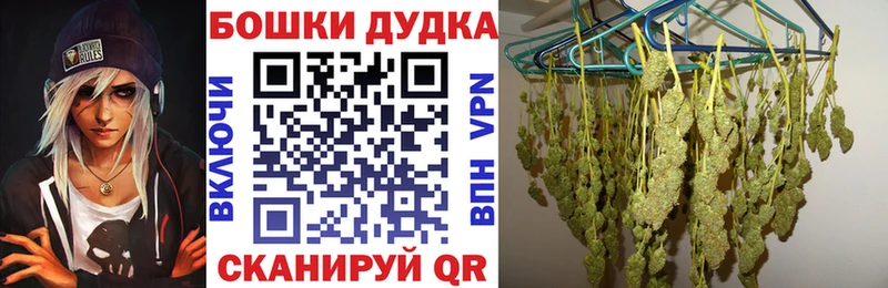 Бошки Шишки гибрид  что такое   Ветлуга 